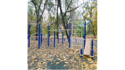 A press bench with a cascade of horizontal bars and a wall bars for children with special needs
