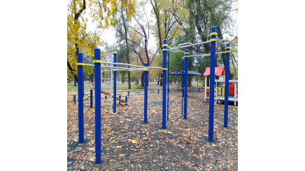 A press bench with a cascade of horizontal bars and a wall bars for children with special needs
